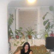 ,   , 46 ,   