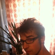 ���������� �����, ���� ������� ���������, 36 ���, ������������ ��� ����� � ���������, c�������� ���������