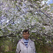  ,   , 60 ,  