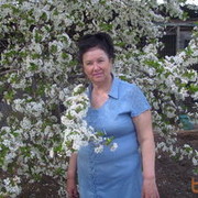 ���������� ����������, ���� ������� ������, 75 ���, ������������ 