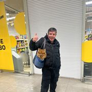 ���������� ������, ���� ������� �����, 44 ����, ������������ ��� ������, ����� � ���������