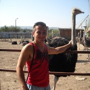 ���������� ������ ��������, ���� ������� �������, 39 ���, ������������ ��� ������, ����� � ���������, c�������� ���������