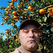  ,   , 46 ,   ,   