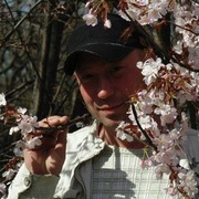 ���������� ����, ���� ������� ������, 44 ����, ������������ ��� ������, ����� � ���������, c�������� ���������