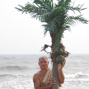 ���������� �����������-��-�����, ���� ������� �����, 55 ���, ������������ ��� ������, ����� � ���������, c�������� ���������