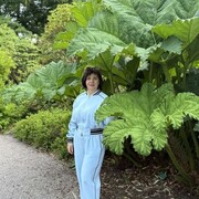 ���������� ���������, ���� ������� ����, 51 ���, ������������ ��� ����� � ���������, c�������� ���������