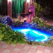 ���������� ����, ���� ������� ��������, 55 ���, ������������ ��� ����� � ���������, c�������� ���������