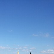 ���������� �����, ���� ������� ���������, 57 ���, ������������ ��� ������, ����� � ���������, c�������� ���������, ���������