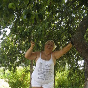  ,   , 70 ,     , c 