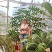 ���������� ��������, ���� ������� �����, 58 ���, ������������ ��� ������, ����� � ���������, c�������� ���������