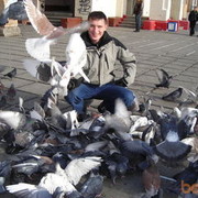 ���������� ������������, ���� ������� ����, 43 ����, ������������ ��� ����� � ���������, c�������� ���������