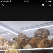  ,   , 55 ,     , c 