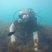 ���� ��� ������