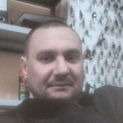  --,   , 41 ,   ,   