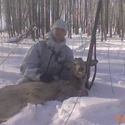 ���������� �����������, ���� ������� �������, 36 ���, ������������ ��� ������