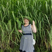 ���������� �����, ���� ������� ���������, 71 ���, ������������ ��� ����� � ���������, c�������� ���������