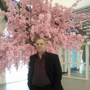  ,   , 59 ,     