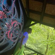 ���������� �����, ���� ������� ��������, 36 ���, ������������ ��� ������, ����� � ���������