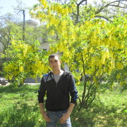 ���������� ���������, ���� ������� ������, 36 ���, ������������ ��� ������, ����� � ���������, c�������� ���������