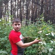  ,   , 32 ,   ,   , c 