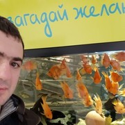 ���������� ������, ���� ������� �����, 36 ���, ������������ ��� ������, ����� � ���������, c�������� ���������