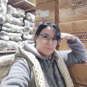 ���������� �����������, ���� ������� ����, 44 ����, ������������ ��� ������, ����� � ���������, c�������� ���������, ���������