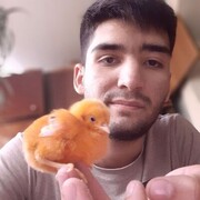 ���������� �������, ���� ������� Timur, 27 ���, ������������ ��� ������, ����� � ���������