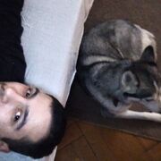 ���������� ������, ���� ������� Tigran, 30 ���, ������������ ��� ������, ����� � ���������, c�������� ���������, ���������