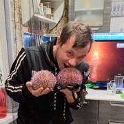  ,   , 44 ,   ,   , c 
