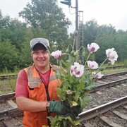 ���������� ���������, ���� ������� ����, 40 ���, ������������ ��� ������, ����� � ���������, c�������� ���������, ���������