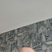  ,   , 54 ,     , c 
