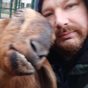 ���������� �����-���������, ���� ������� ������, 47 ���, ������������ ��� ������, ����� � ���������