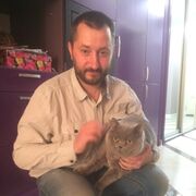 ���������� ������, ���� ������� ����������, 47 ���, ������������ ��� ������, ����� � ���������, c�������� ���������