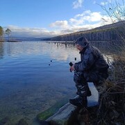  ,   Alexander, 42 ,   ,   , c , 