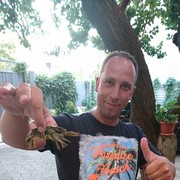 ���������� ������, ���� ������� �������, 44 ����, ������������ ��� ������, ����� � ���������, c�������� ���������