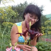  ,   , 53 ,     , c 