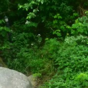 ���������� ����, ���� ������� Tarlan, 55 ���, ������������ ��� ������, ����� � ���������, c�������� ���������, ���������