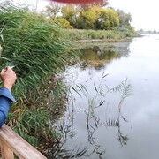  ,   , 50 ,     , c 