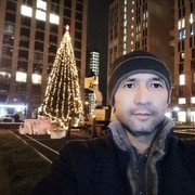 ���������� ������, ���� ������� ����, 43 ����, ������������ ��� ������, ����� � ���������, c�������� ���������