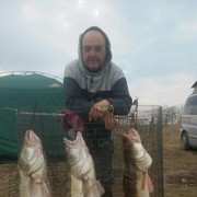  ,   , 61 ,   