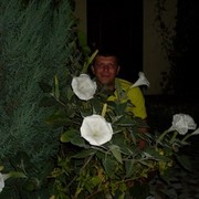 ���������� ������������, ���� ������� ��������, 41 ���, ������������ ��� ������