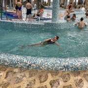 ���������� �����-���������, ���� ������� ����, 46 ���, ������������ ��� ����� � ���������, c�������� ���������, ���������