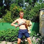 ���������� �����, ���� ������� ����, 43 ����, ������������ 