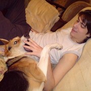 ���������� ������, ���� ������� ���, 38 ���, ������������ ��� ������, ����� � ���������, c�������� ���������