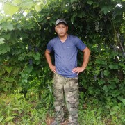  ,   , 43 ,   ,   