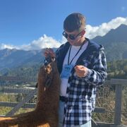 ���������� ����, ���� ������� ������, 29 ���, ������������ ��� ������, ����� � ���������