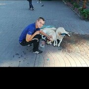  ,   , 30 ,   ,   