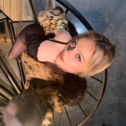 ���������� ������, ���� ������� ��������, 23 ����, ������������ ��� ������, ����� � ���������