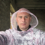 ���������� ��������, ���� ������� ��������, 43 ����, ������������ ��� ����� � ���������, c�������� ���������