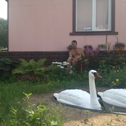 ���������� ������, ���� ������� �������, 46 ���, ������������ ��� ������